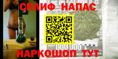 стафф Бердск