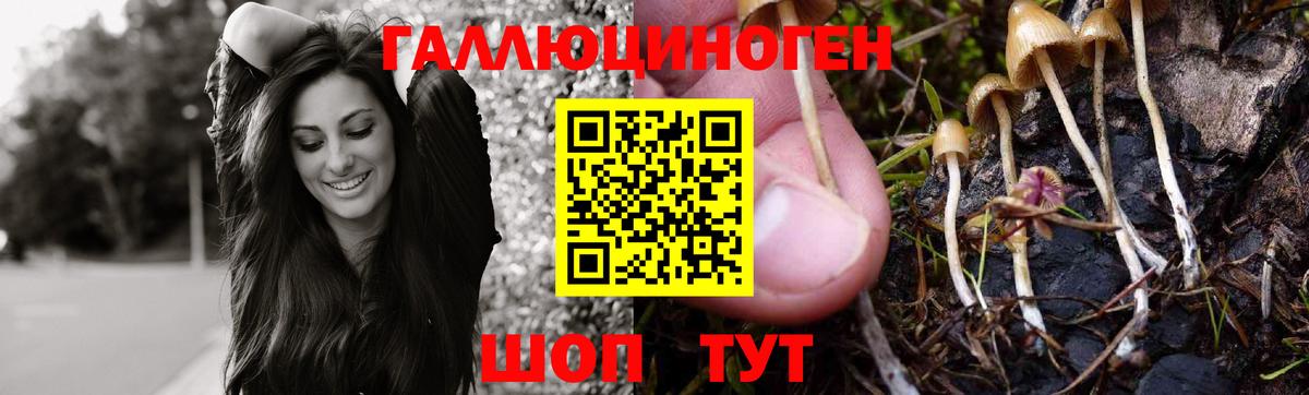 Псилоцибиновые грибы Psilocybine cubensis  наркота  Дербент  Вход с VPN 