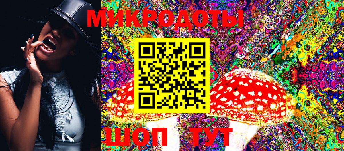 Галлюциногенные грибы Cubensis Дербент